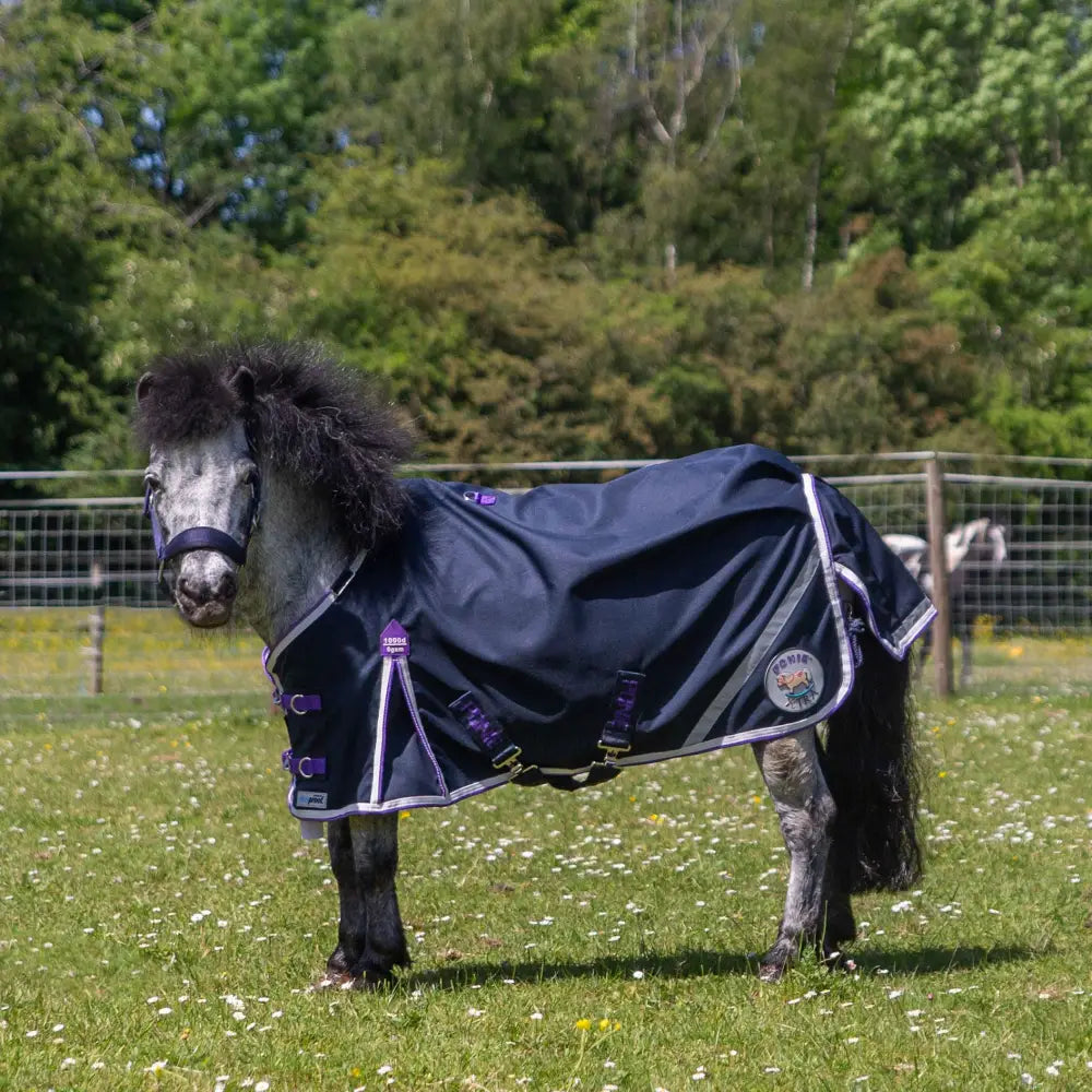 Navy blue gallop ponie xtra duraproof lightweight turnout horse rug with purple white trim and circular logo on side