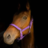 Gallop Premium Padded Headcollar Purple Shetland Headcollar Sets