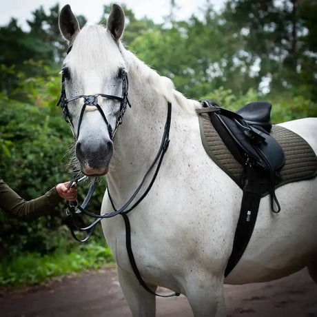 A white horse wearing a black leather running martingale gallop running martingale with saddle and bridle