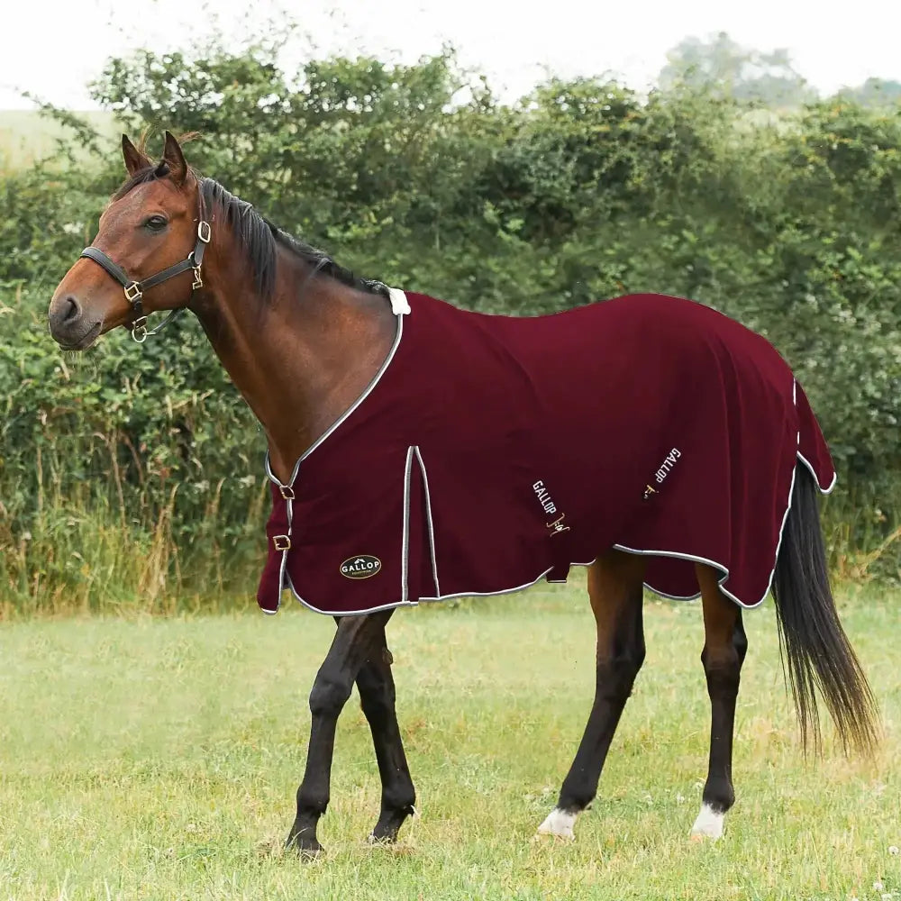 Gallop Summer Sheet Burgundy 4'9'' Cooler Rugs Barnstaple Equestrian Supplies