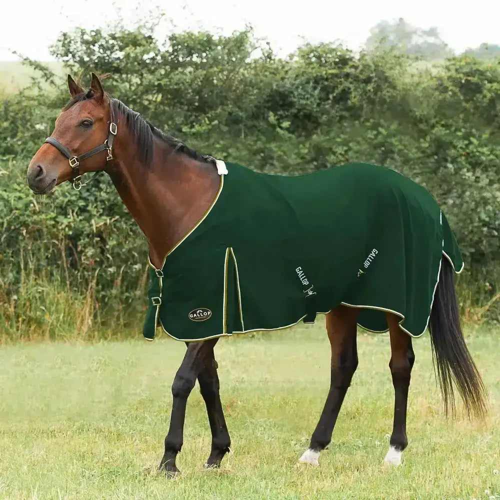 Dark green gallop summer sheet horse blanket with extra deep fit and light green trim perfect for summer use