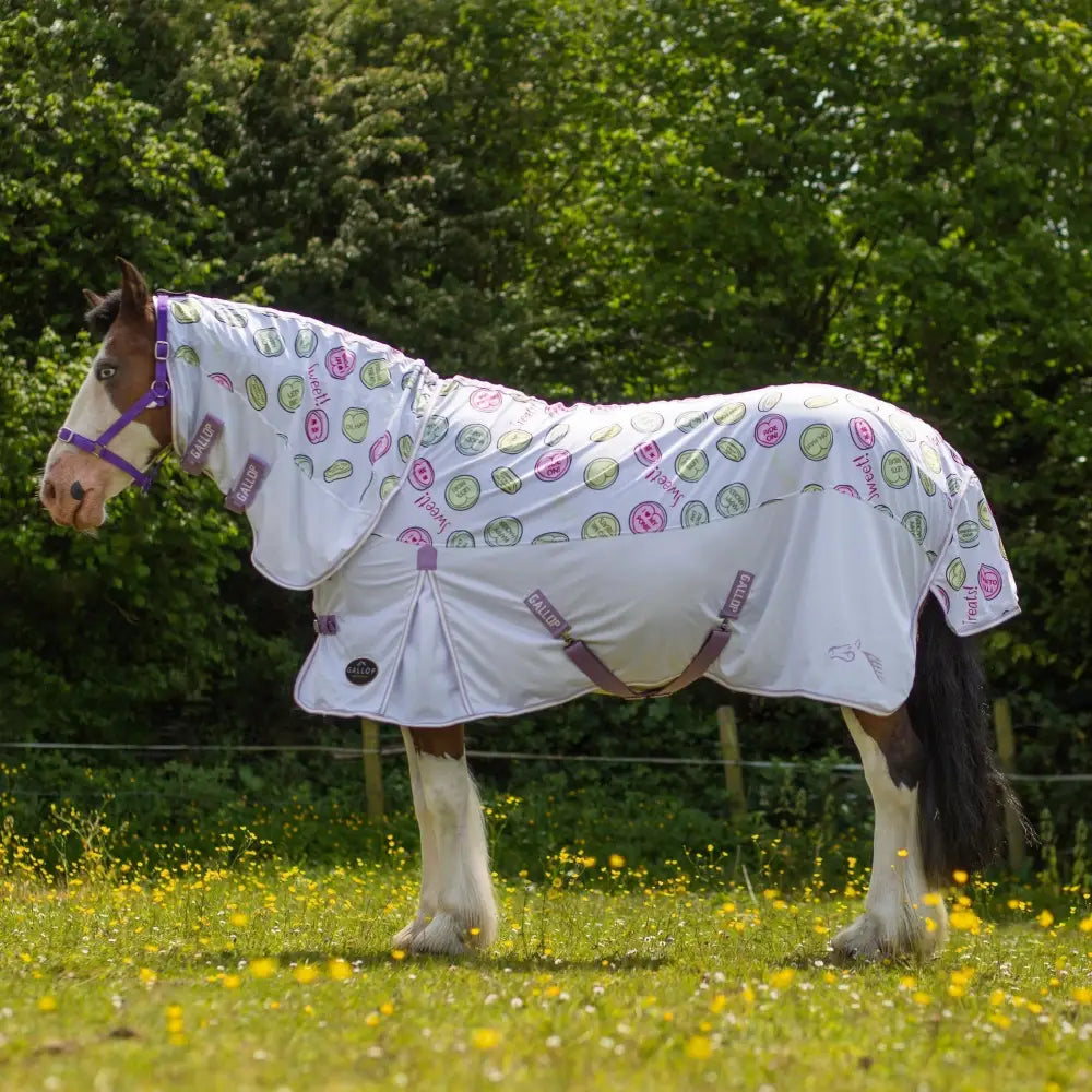 Gallop Sweet Treats Combo Fly Rug 5'6 Fly Rugs Barnstaple Equestrian Supplies