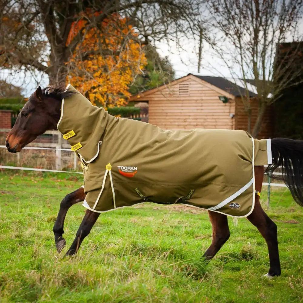 Gallop Toofan 200g Medium Weight Turnout Rug Combo Neck Green 5'6 Turnout Rugs Barnstaple Equestrian Supplies