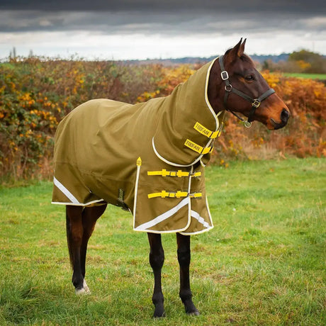 Gallop Toofan 200g Medium Weight Turnout Rug Combo Neck Green 5'6 Turnout Rugs Barnstaple Equestrian Supplies