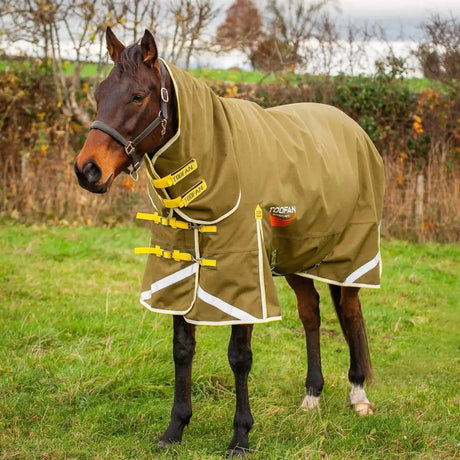 Gallop Toofan 200g Medium Weight Turnout Rug Combo Neck Green 5'6 Turnout Rugs Barnstaple Equestrian Supplies