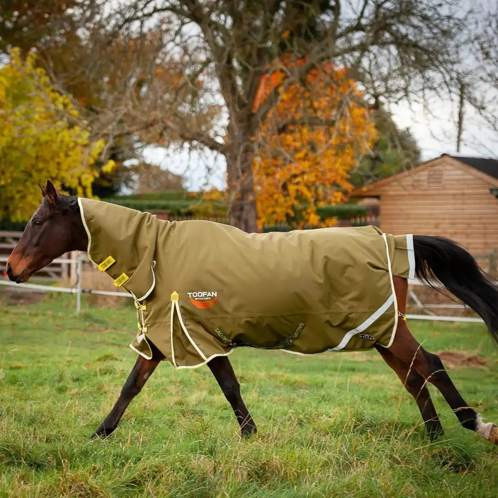 Gallop Toofan 200g Medium Weight Turnout Rug Combo Neck Green 5'6 Turnout Rugs Barnstaple Equestrian Supplies