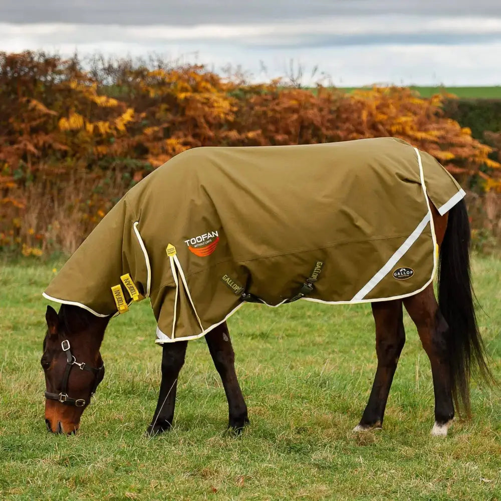 Gallop Toofan 200g Medium Weight Turnout Rug Combo Neck Green 5'6 Turnout Rugs Barnstaple Equestrian Supplies