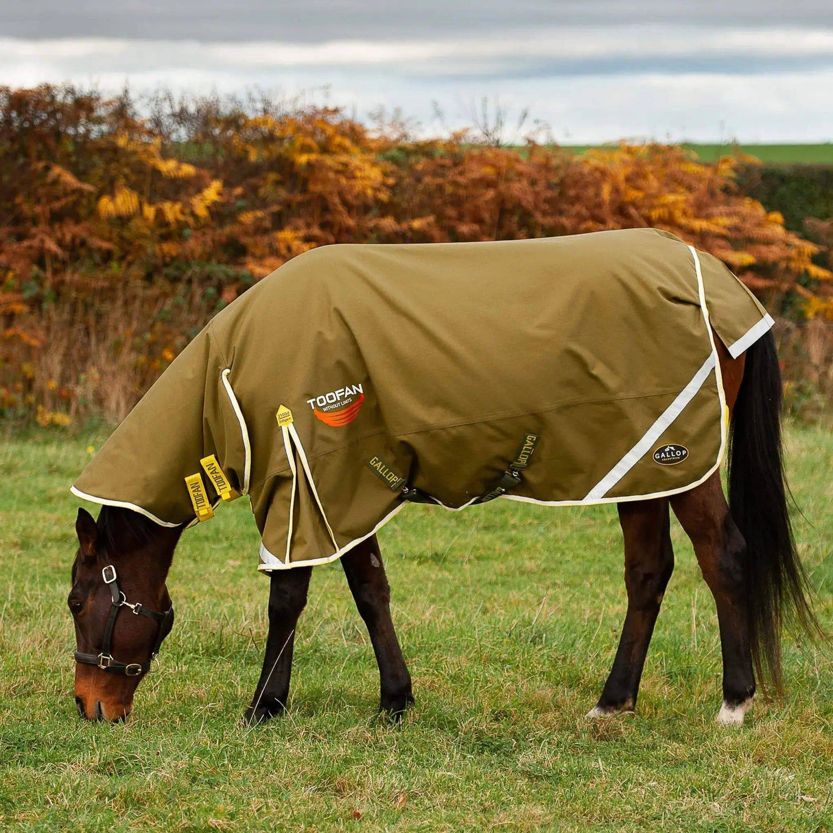 Gallop Toofan 200g Medium Weight Turnout Rug Combo Neck Green 5'6'' Gallop Equestrian Turnout Rugs Barnstaple Equestrian Supplies