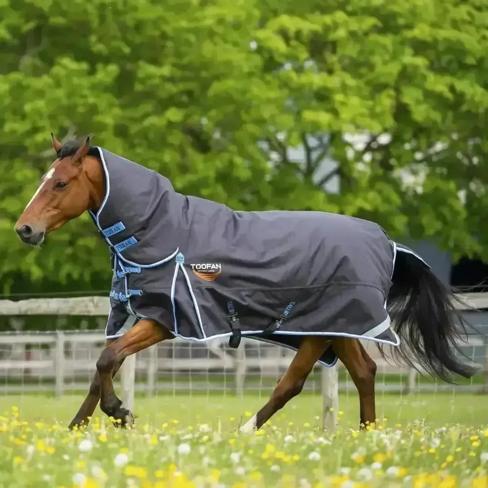 Gallop Toofan 350g Heavy Weight Turnout Rug Combo Charcoal Black 5'6" Turnout Rugs