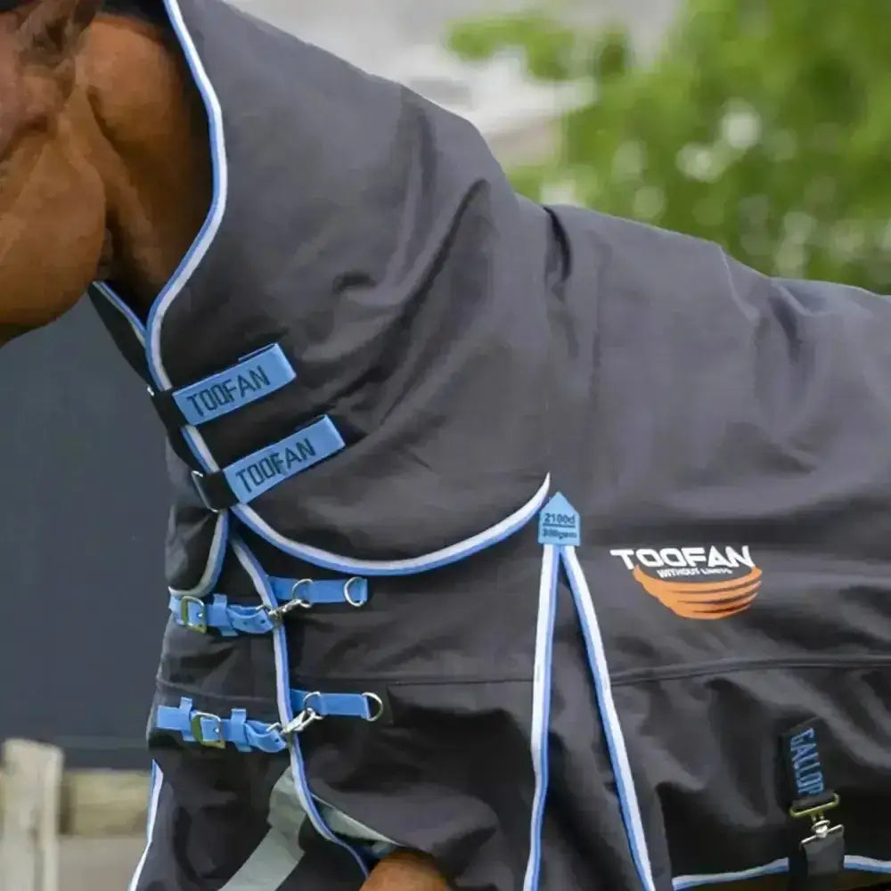 Dark gray gallop toofan 350g heavy weight turnout horse blanket with light blue trim and adjustable straps