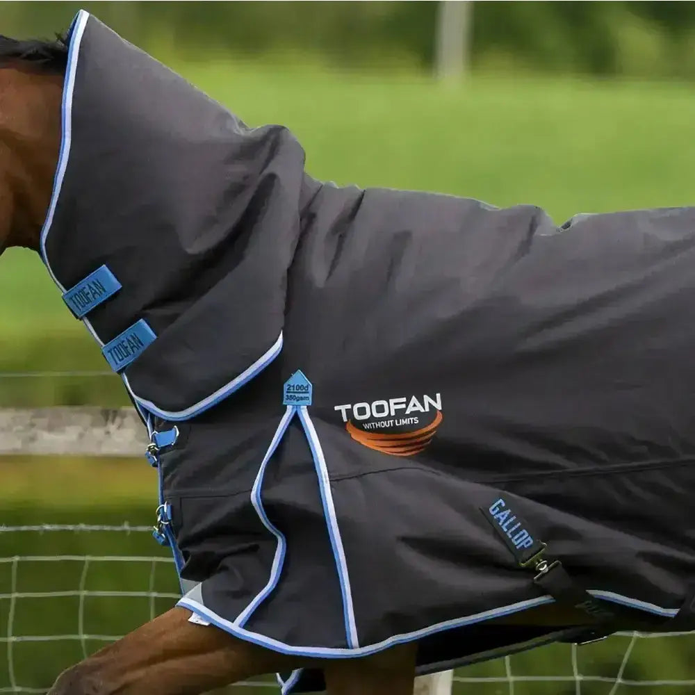Dark gray gallop toofan 350g heavy weight turnout rug with light blue trim and toofan without limits logo