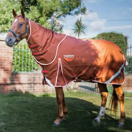 Gallop Toofan Dual 200g Medium Weight Dual Turnout Rug Combo Neck Brown / Red 5'6 Turnout Rugs Barnstaple Equestrian Supplies