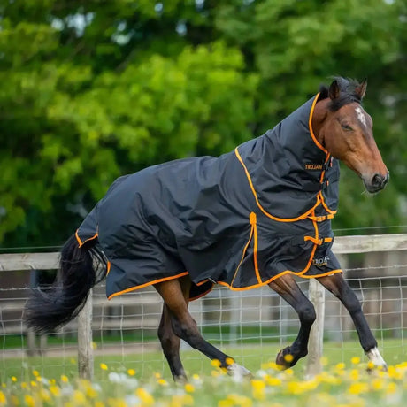 Gallop Trojan 100g Detachable Neck Turnout Rug Dual Navy/Orange 5'3 Turnout Rugs Barnstaple Equestrian Supplies