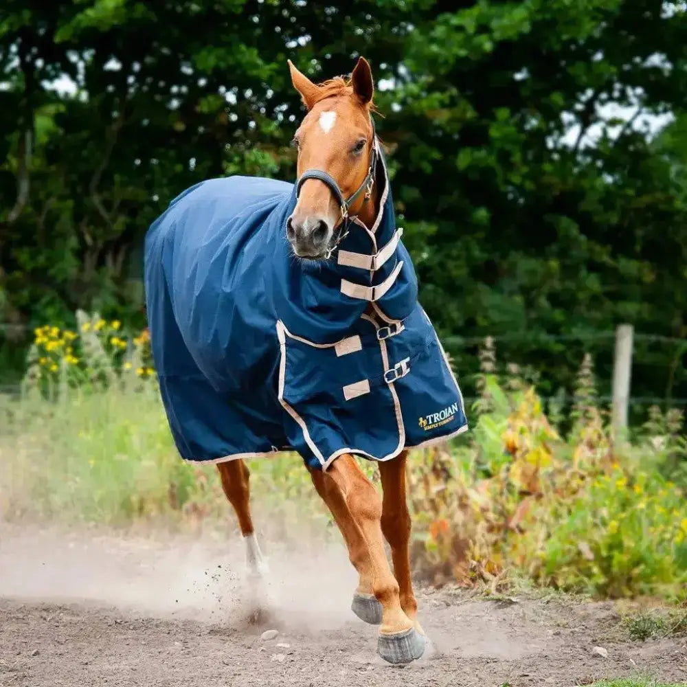 Gallop Trojan 100g Lightweight Combo Turnout Rug 5'6 Turnout Rugs Barnstaple Equestrian Supplies