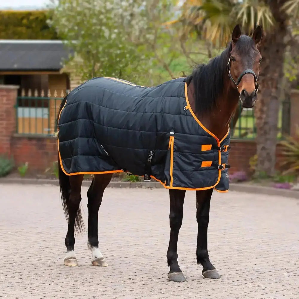 Gallop Trojan 100g Stable Rug Black 5'6 Stable Rugs Barnstaple Equestrian Supplies