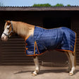 Blue quilted gallop trojan 100g stable rug with orange trim and black buckles no optional neck cover visible