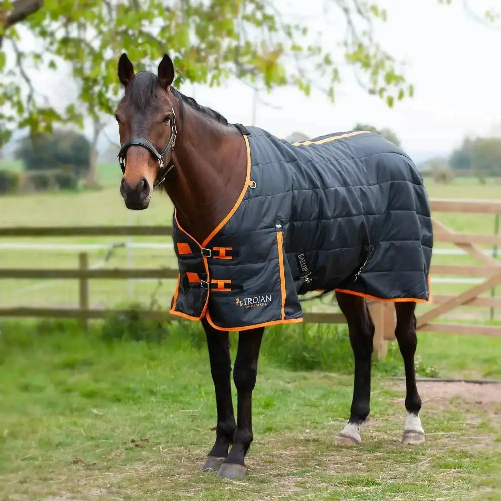 Gallop Trojan 100g Stable Rug Black 5'6 Stable Rugs Barnstaple Equestrian Supplies