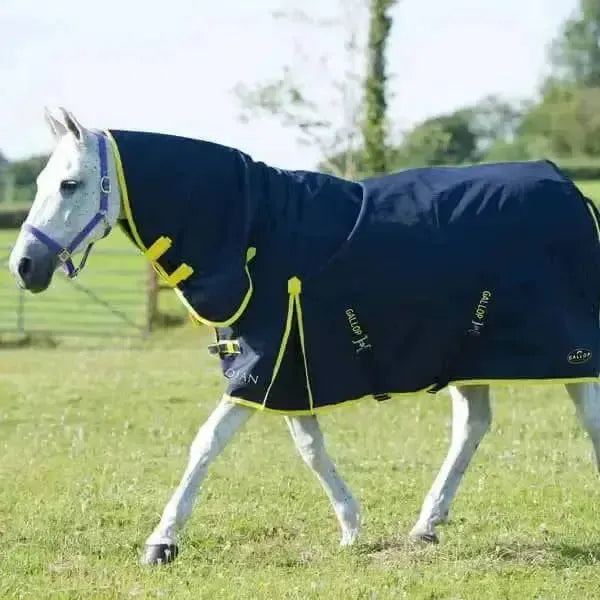 Gallop Trojan 200g Medium Weight Turnout Rug Combo 5'6" Turnout Rugs
