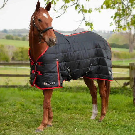 Gallop Trojan 200g Stable Rug 5'3 Stable Rugs Barnstaple Equestrian Supplies