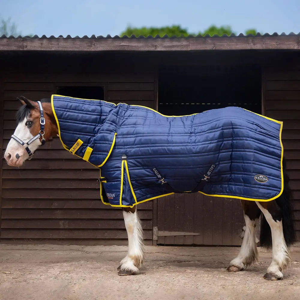 Navy blue quilted gallop trojan 200g stable rug combo navy with yellow trim and brand logos for horses