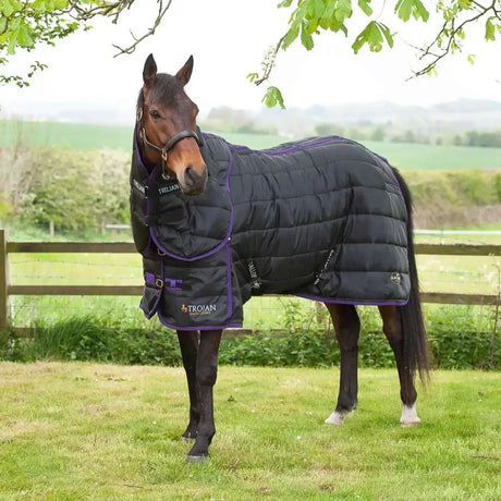 Gallop Trojan 200g Stable Rug Dual Medium Weight Neck Set-5'3"-Stable Rugs-Gallop Equestrian-Barnstaple Equestrian Supplies Tack Shop