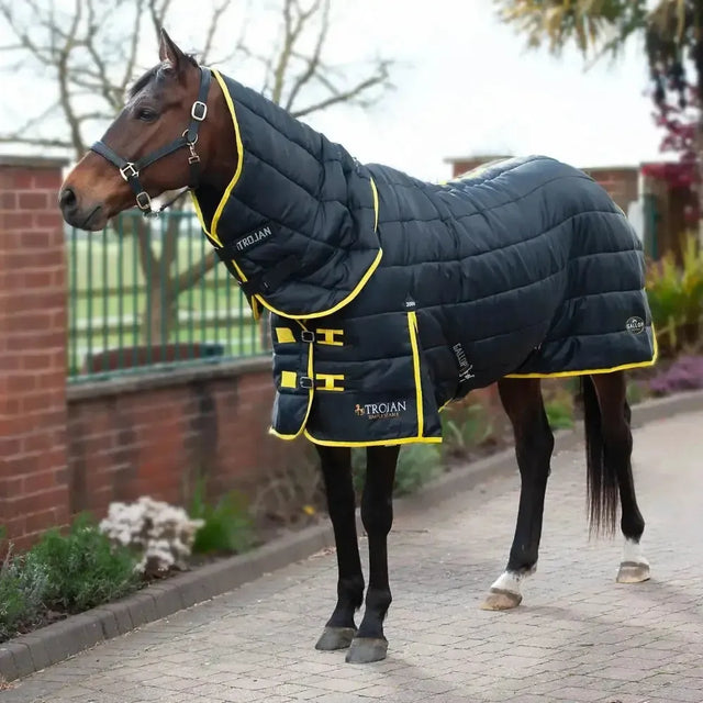 Gallop Trojan 200g Stable Rug Medium Weight Combo 5'6" Stable Rugs