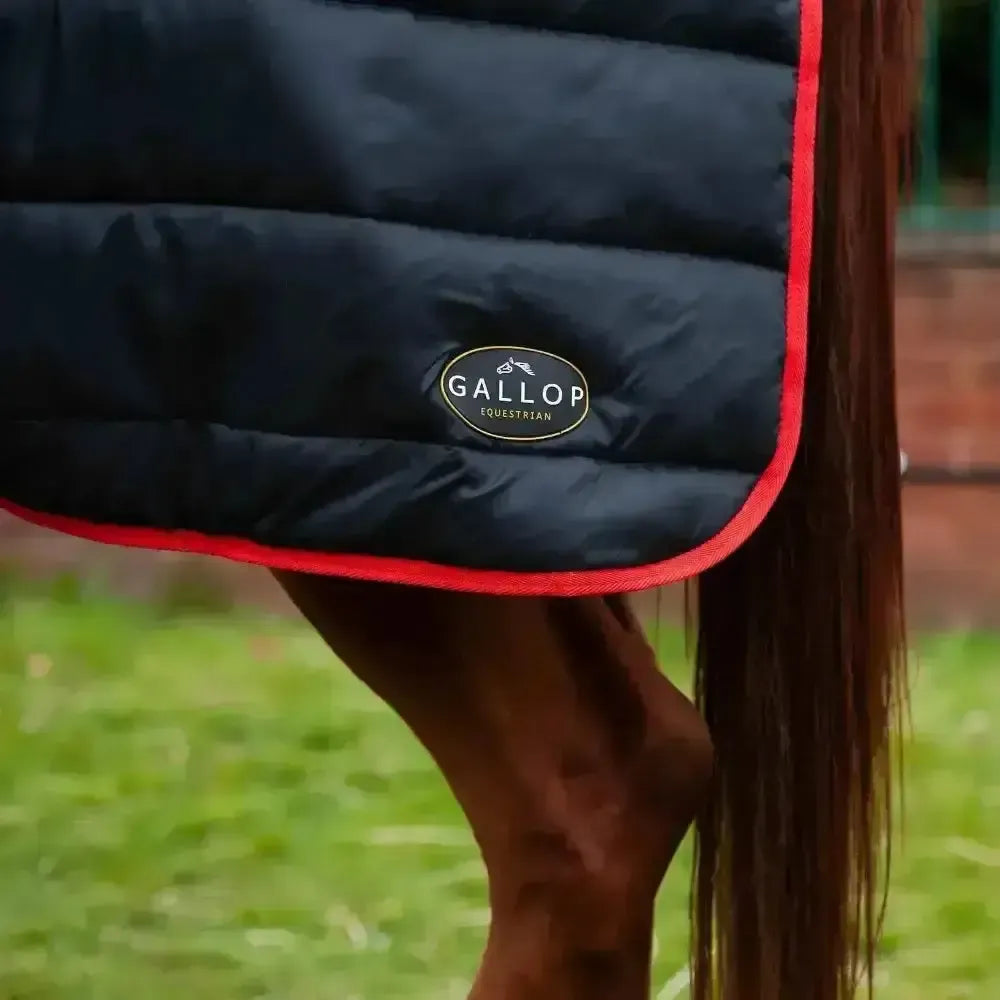 Gallop Trojan 200g Stable Rug 5'6" Stable Rugs