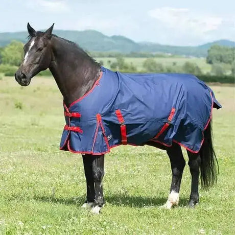 Gallop Trojan 200g Turnout Rug Standard Neck 5'6 Turnout Rugs Barnstaple Equestrian Supplies