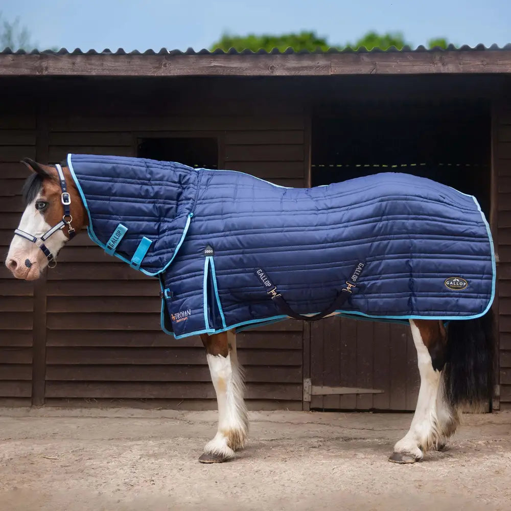 Navy blue quilted gallop trojan 300g combo stable rug with light blue trim and adjustable straps for horses