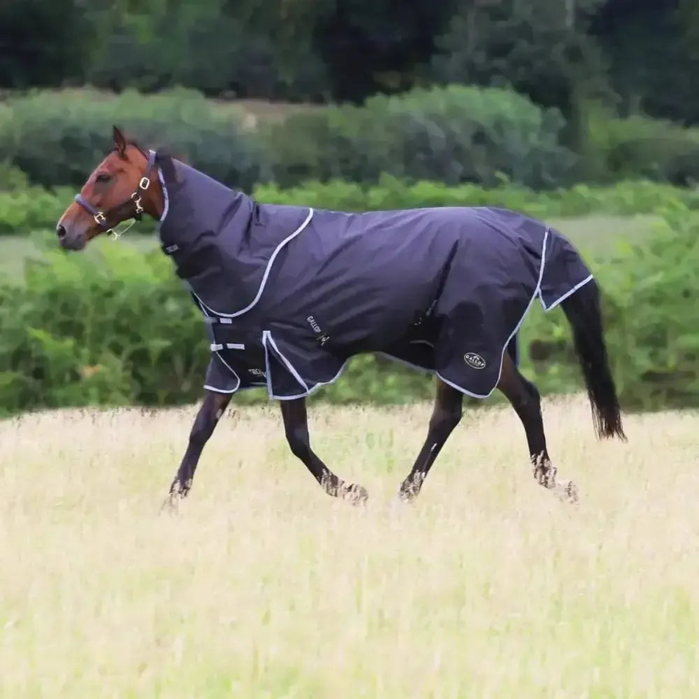 Gallop Trojan 300g Heavy Weight Turnout Rugs Dual Navy/Grey Bindings 5'6" Turnout Rugs