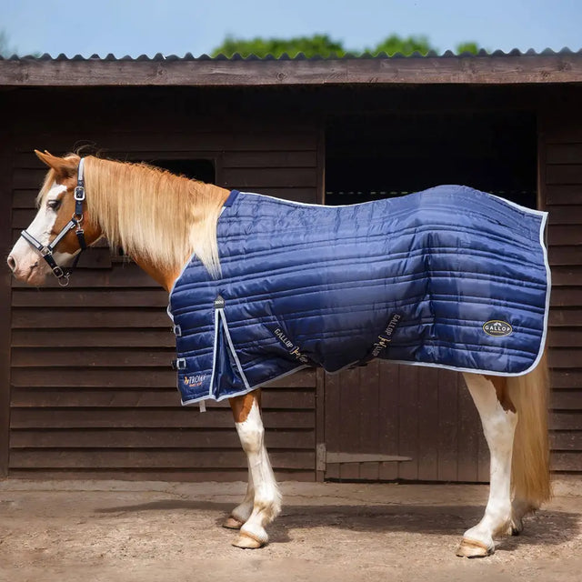 Navy blue quilted gallop trojan 300g stable rug with white trim heavy weight stable rug navy perfect for horses