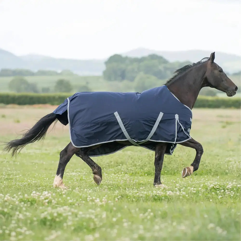 Gallop Trojan 300g Standard Turnout Rug Navy/Grey 5'6 Turnout Rugs Barnstaple Equestrian Supplies