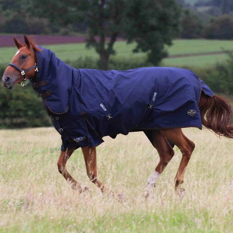 Gallop Trojan 450g Heavy Weight Turnout Rugs Combo Navy/Brown Bindings 5'6'' Gallop Equestrian Turnout Rugs Barnstaple Equestrian Supplies