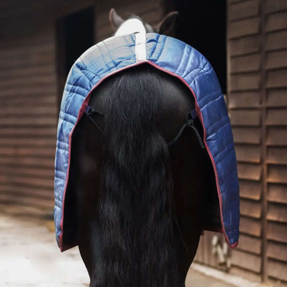 Blue quilted gallop trojan 50g stable rug lightweight with red trim and white strap neck cover