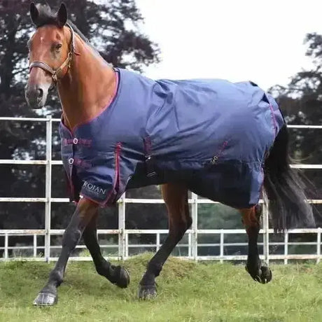 Navy blue gallop trojan 50g turnout rug with red trim and adjustable straps for secure fit featuring kojan logo