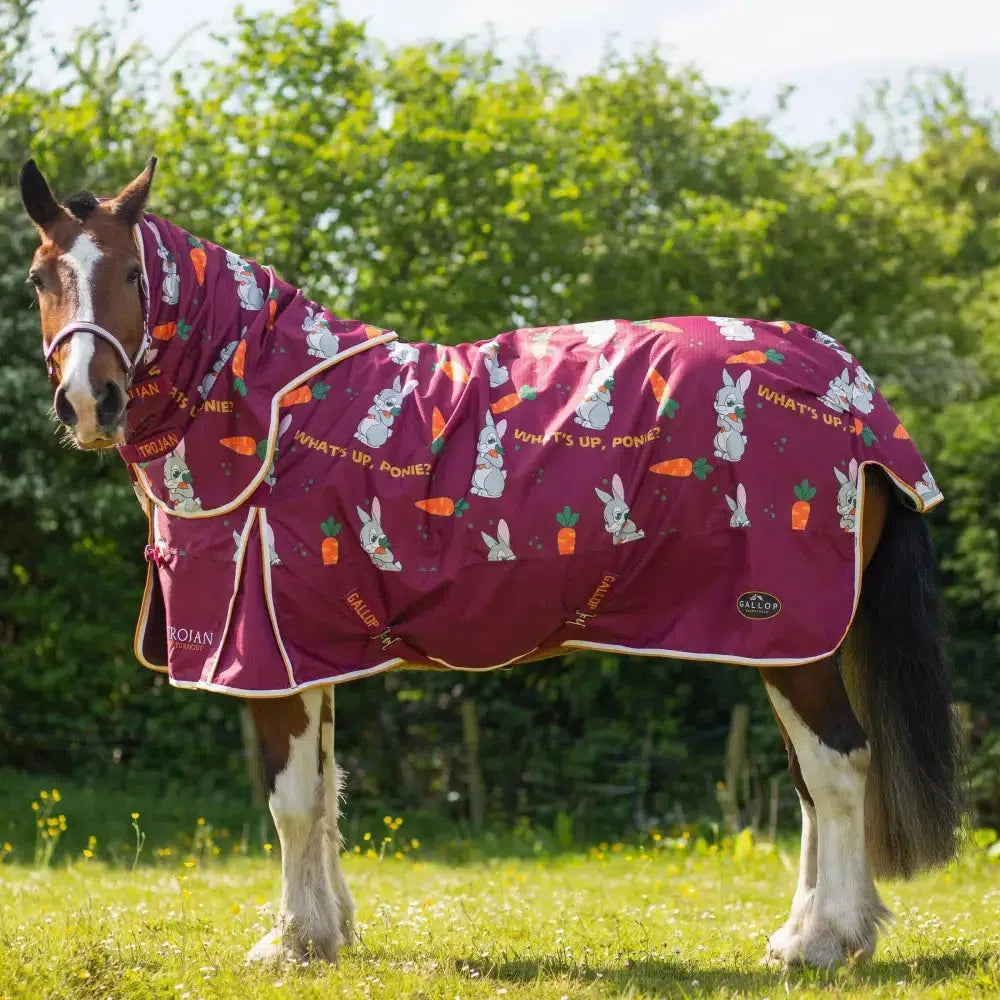 Gallop Trojan Bunnies And Carrots 50G Dual Rug & Neck Turnout Set 5'3 Turnout Rugs Barnstaple Equestrian Supplies