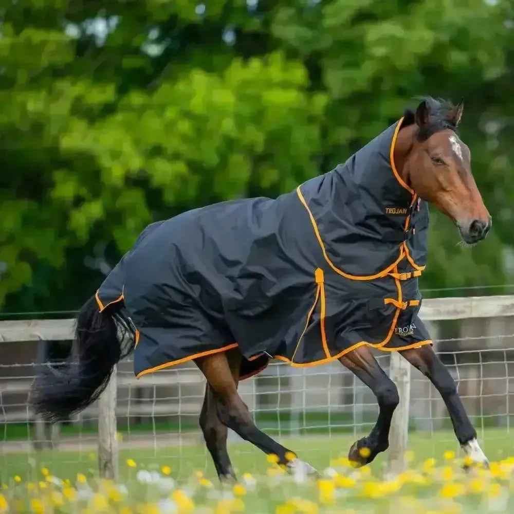 Gallop Trojan Dual 100g Detachable Neck Turnout Rug Navy/Orange 5'3" Turnout Rugs