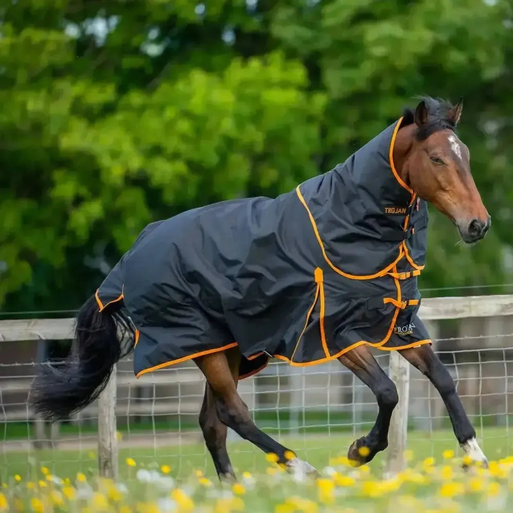 Gallop Trojan Dual 100g Detachable Neck Turnout Rug Navy/Orange 5'3" Turnout Rugs
