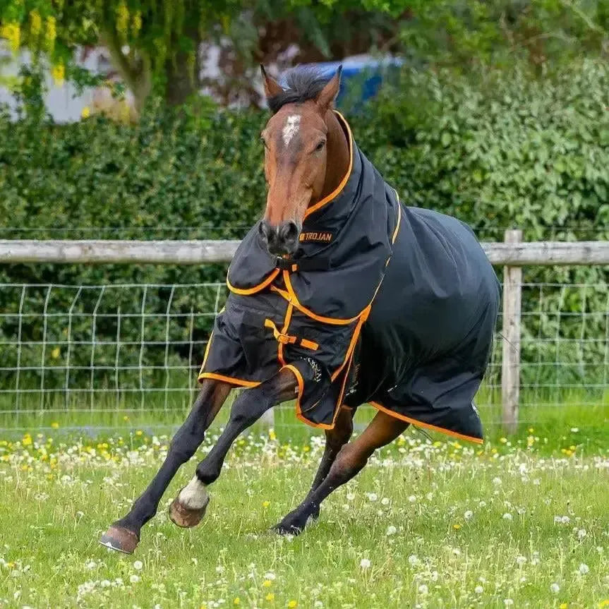 Gallop Trojan Dual 100g Detachable Neck Turnout Rug Navy/Orange 5'3" Turnout Rugs