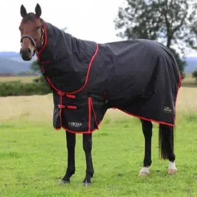 Gallop Trojan Dual 200g Medium Weight Turnout Rugs Detachable Neck 5'6 Gallop Equestrian Turnout Rugs Barnstaple Equestrian Supplies