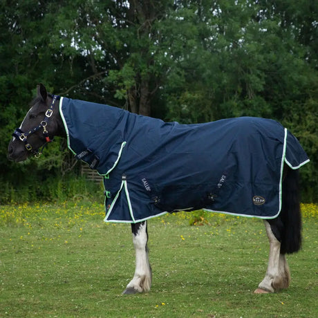 Navy blue gallop trojan duraproof lightweight turnout combo with light green trim and fixed neck shown from back side