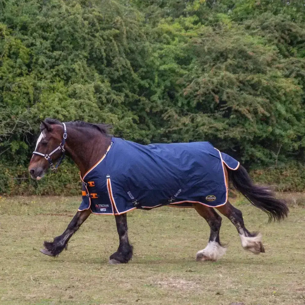 Navy blue gallop trojan duraproof lightweight neck turnout rug with orange trim black straps and logo on the side