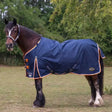 Navy blue gallop trojan duraproof lightweight neck turnout rugs with orange trim and adjustable buckles for horses