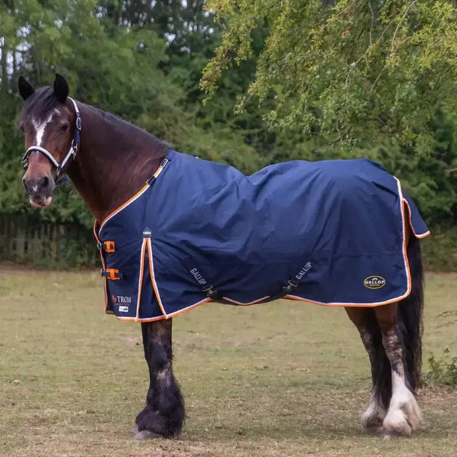 Navy blue gallop trojan duraproof lightweight neck turnout rugs with orange trim and adjustable buckles for horses