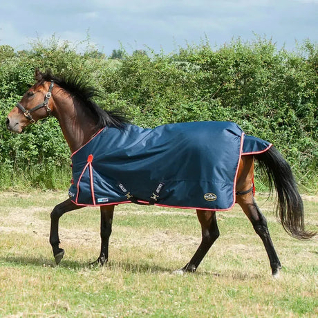 Gallop Trojan Duraproof 200g Turnout Rug Standard Neck 5'6" Turnout Rugs