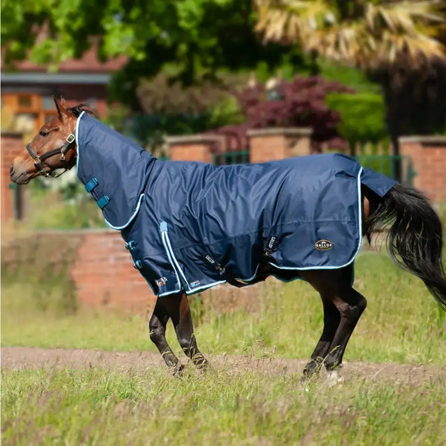 Navy blue gallop trojan duraproof heavy weight combo turnout rug with teal trim and adjustable straps, waterproof design