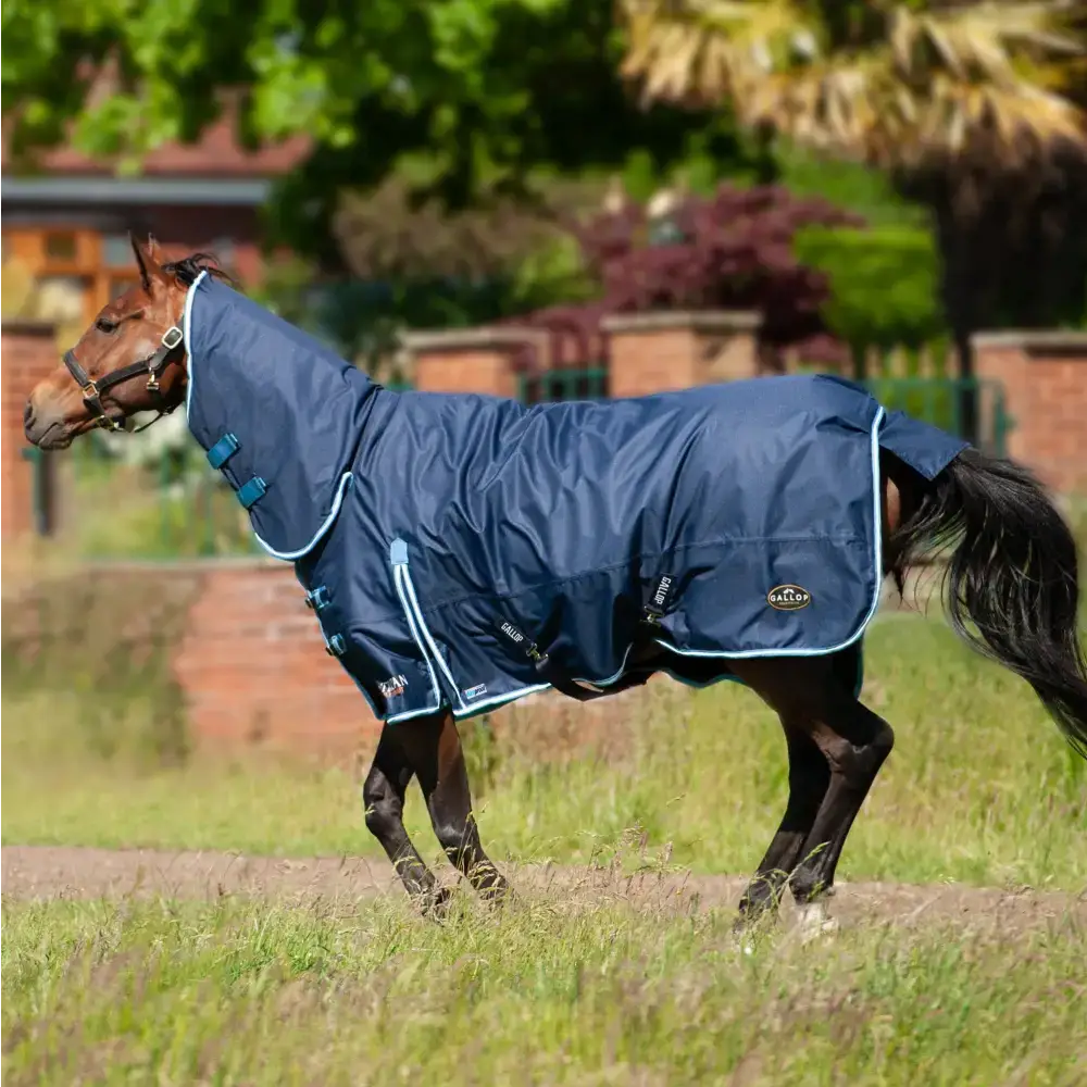 Gallop Trojan Duraproof 300g Heavy Weight Combo Turnout Rug 5'6" Turnout Rugs