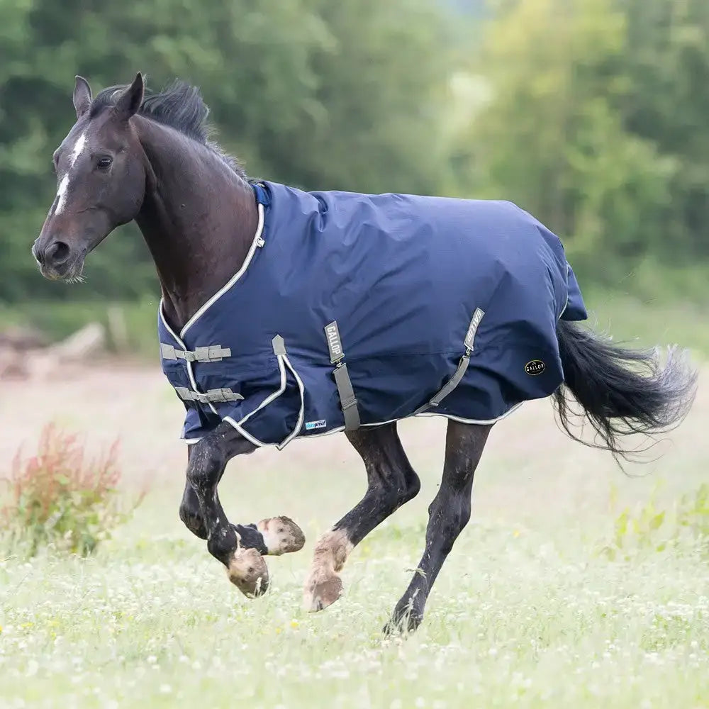 Navy blue gallop trojan duraproof heavy weight turnout rug with white trim and gray straps for cold weather use
