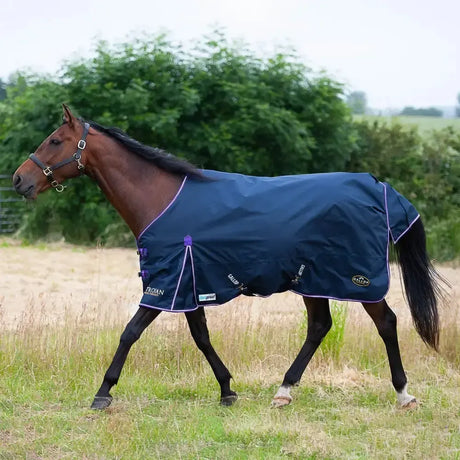 Gallop Trojan Duraproof 5-Point Std Lightweight Turnout Navy 5' 6" Navy Turnout Rugs