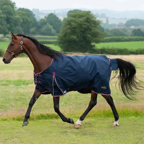 Gallop Trojan Duraproof 50g 5-Point Std Neck Turnout Navy 5' 6" Navy Turnout Rugs